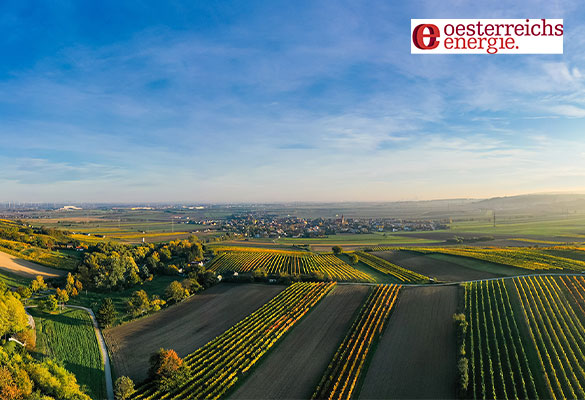 Österreichs Energie